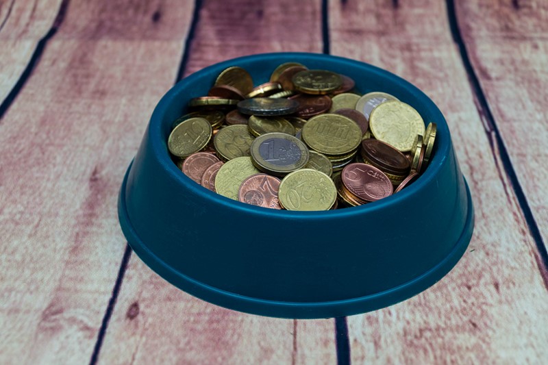 Wie is de eigenaar van de hond na een relatiebreuk?