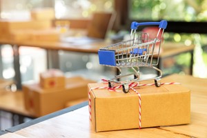 Outline of special rules for use of vouchers and credit tokens