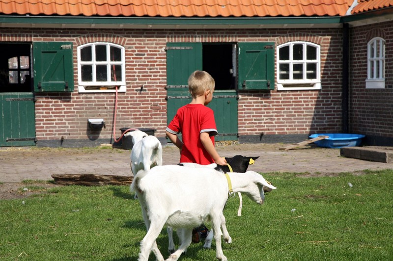 Invoering afstandsnorm rondom geitenhouderijen