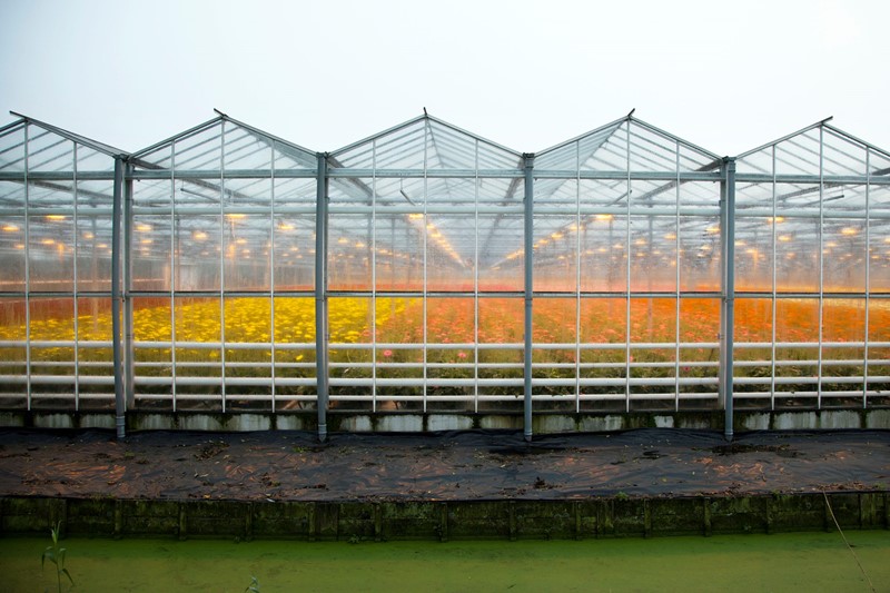 Vernieuwde subsidieregeling verduurzaming glastuinbouw