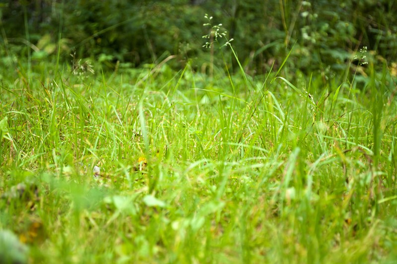 Wijzigingen Uitvoeringsregeling GLB 2023 per 2026