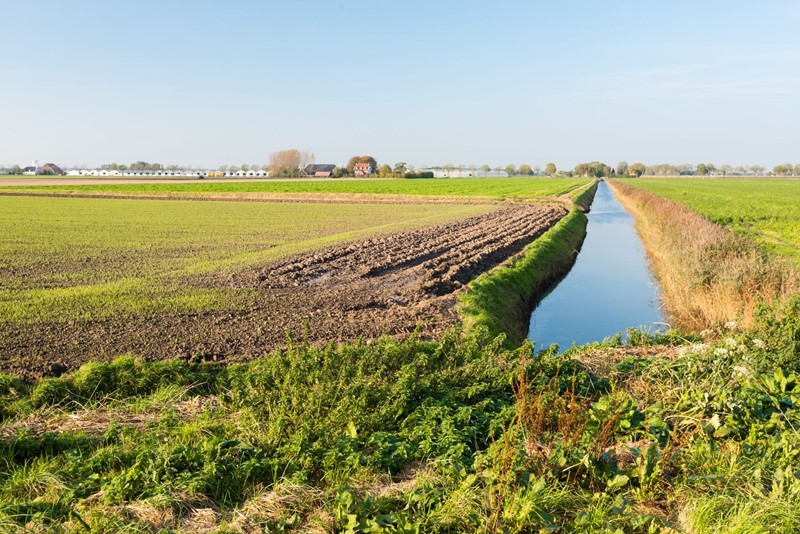 Rechtbank: verplichte bufferstroken zijn rechtmatig