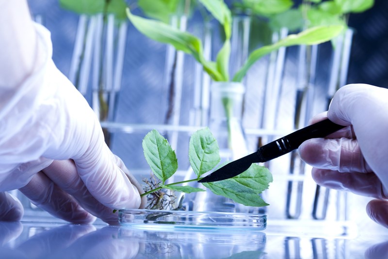 Research and Development tax reliefs