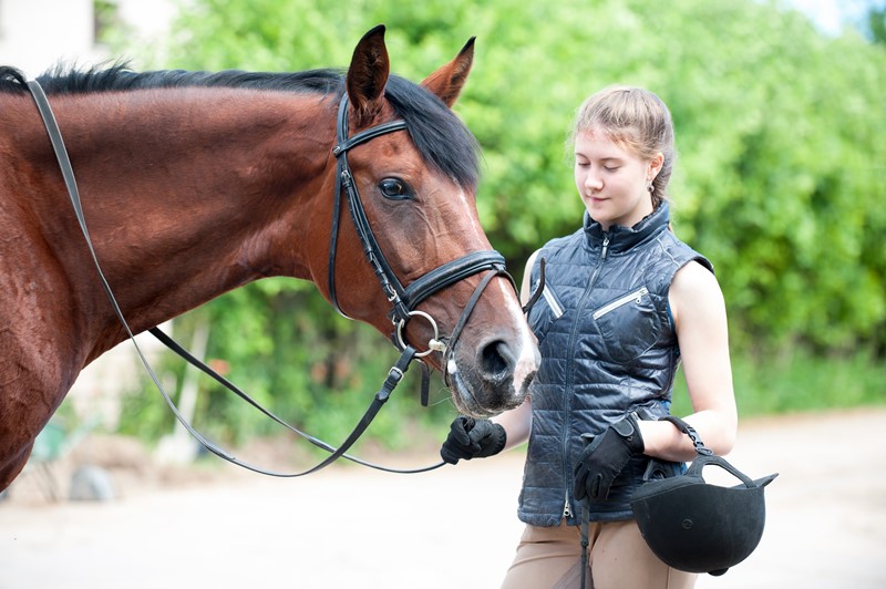 Vage afspraken blijken schenking van paard in te houden