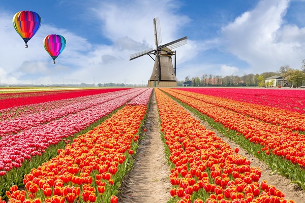 nieuws afbeelding